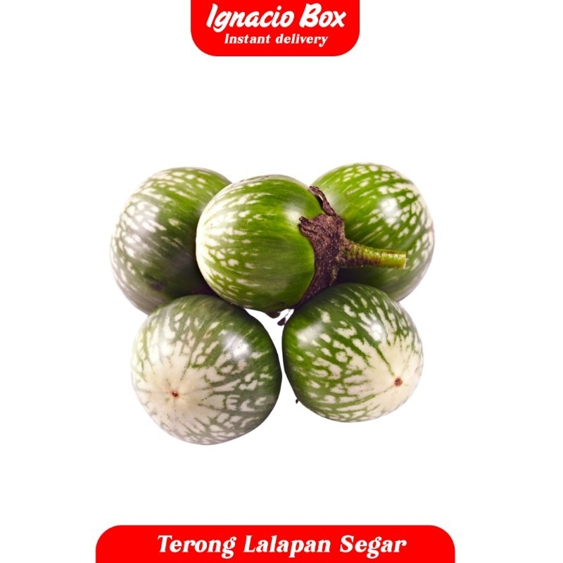 

Terong Lalapan