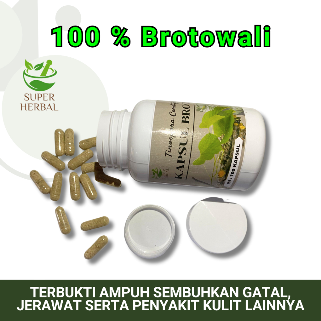 KAPSUL Brotowali 100 KAPSUL Obat Gatal Kulit Ekstrim Alergi Biduran Herbal Daun Suplemen Kesehatan