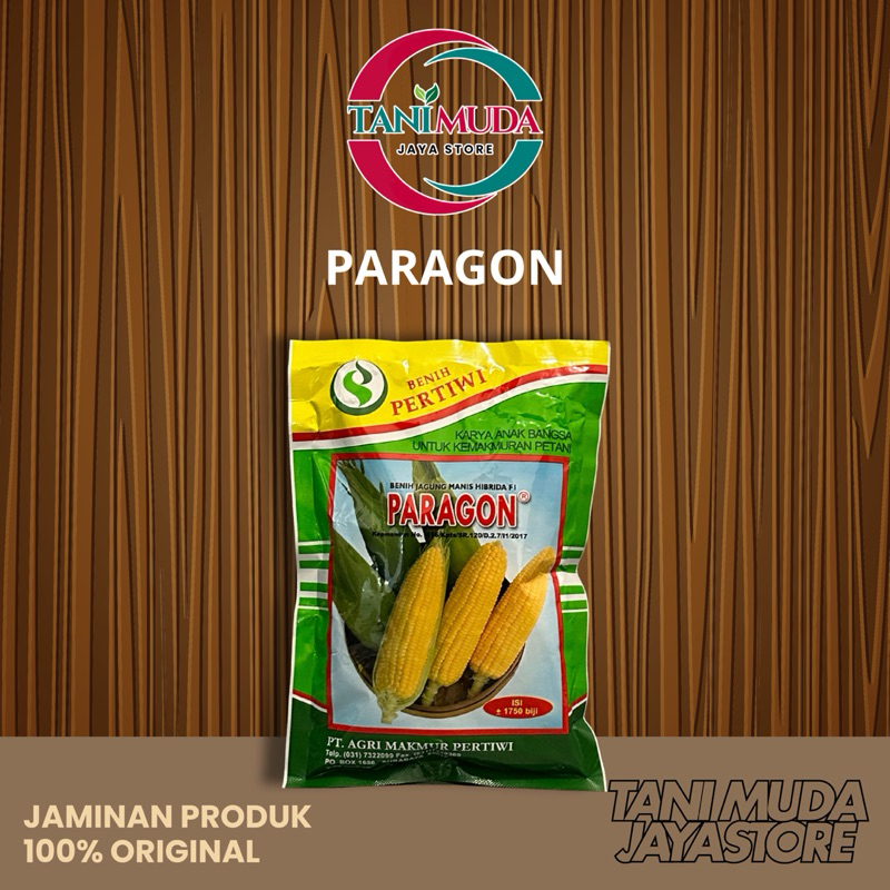 PARAGON BENIH JAGUNG