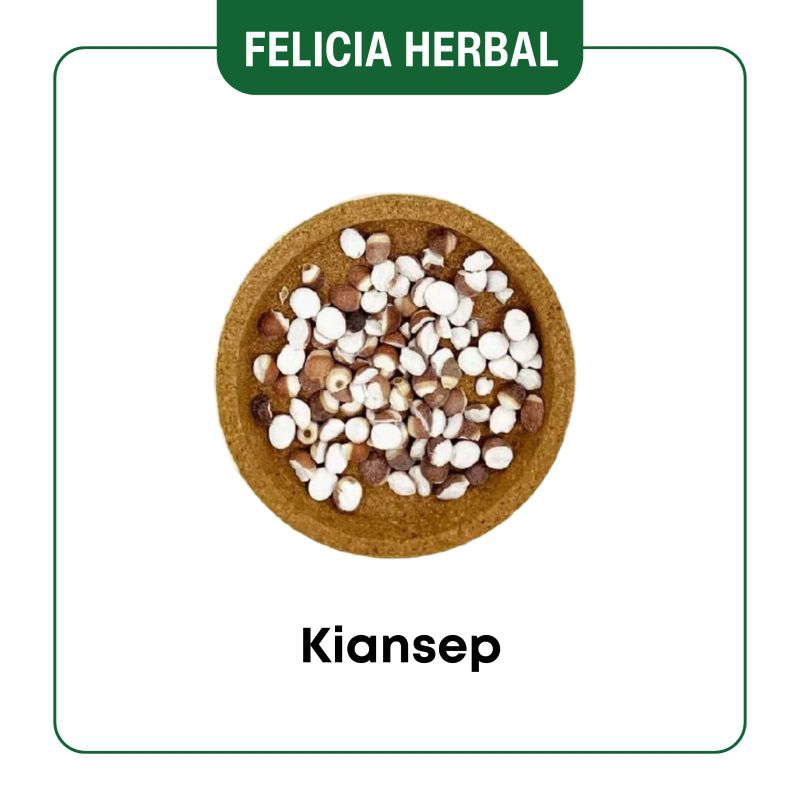 

Qian Shi/芡实/Euryale ferox/Prickly Seed