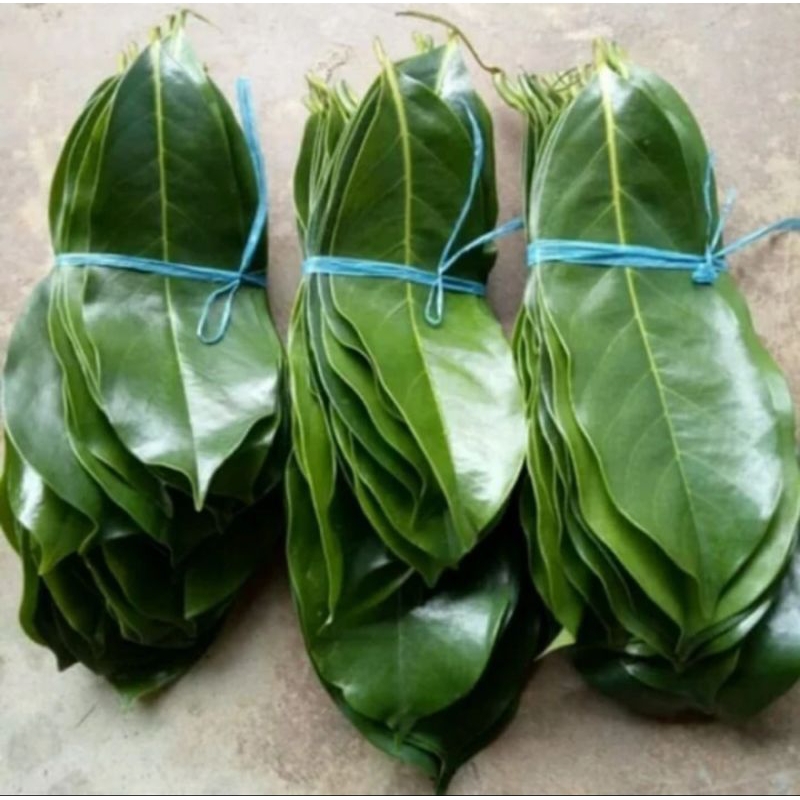 

Daun sirsak segar 100 pcs - daun sirsak fresh obat herbal