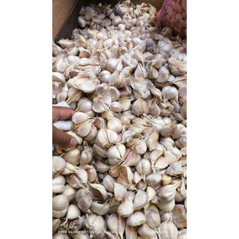 Bawang Putih 1KG