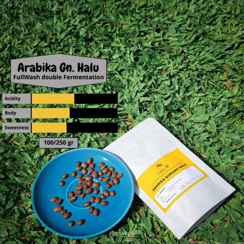 

Biji Kopi Arabika Gunung Halu FullWash Double Fermentation