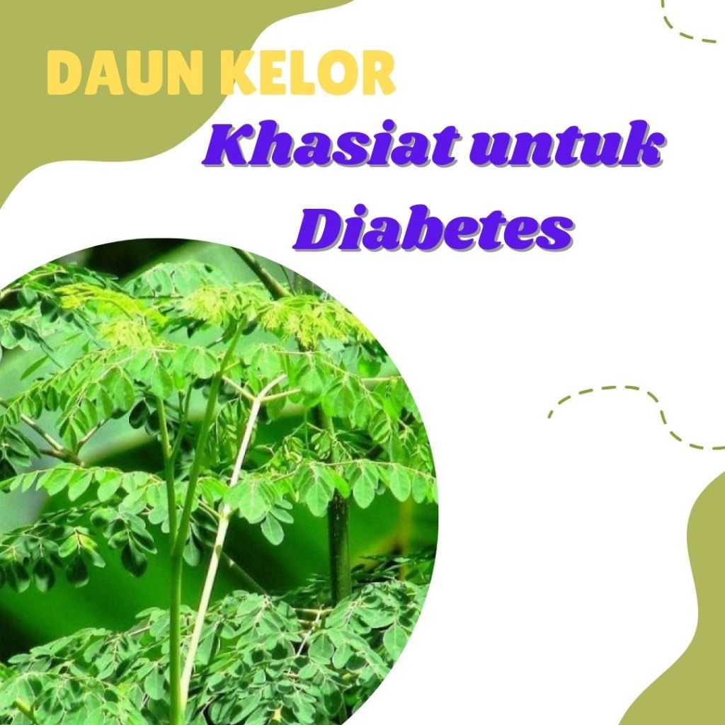 

Teh Daun Kelor Herbal Isi 100g Khasiat Untuk Diabetes