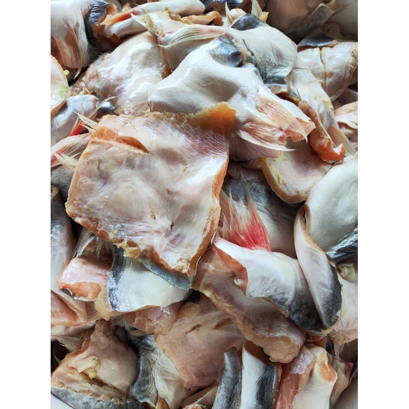 

Titik Frozen | belly ikan dori bagian perut 500gr