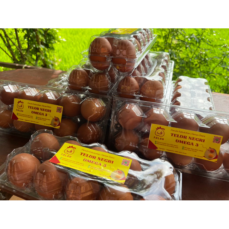 

Telor Negri Omega 369 (Yogyakarta)