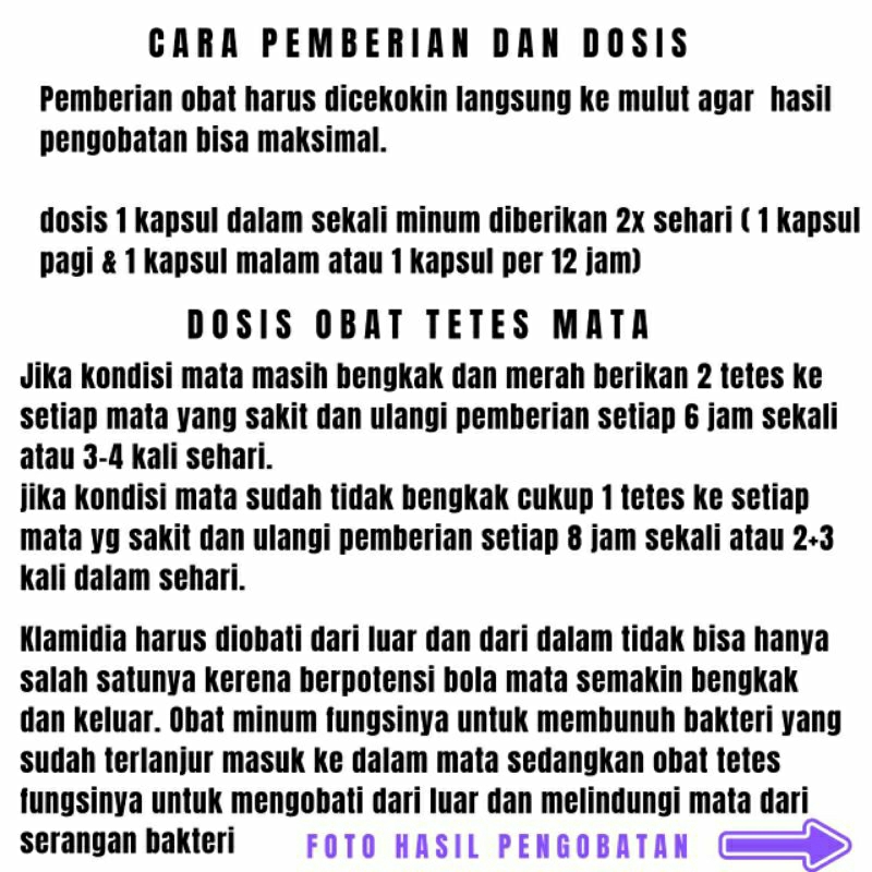 New Obat Klamidia Kucing-Mata Kucing Bengkak Bernanah