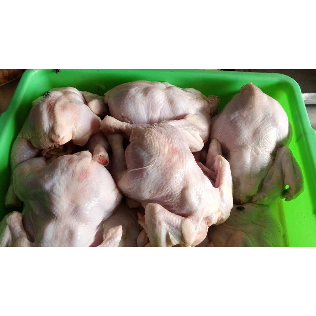 

Ayam Utuh Grade B