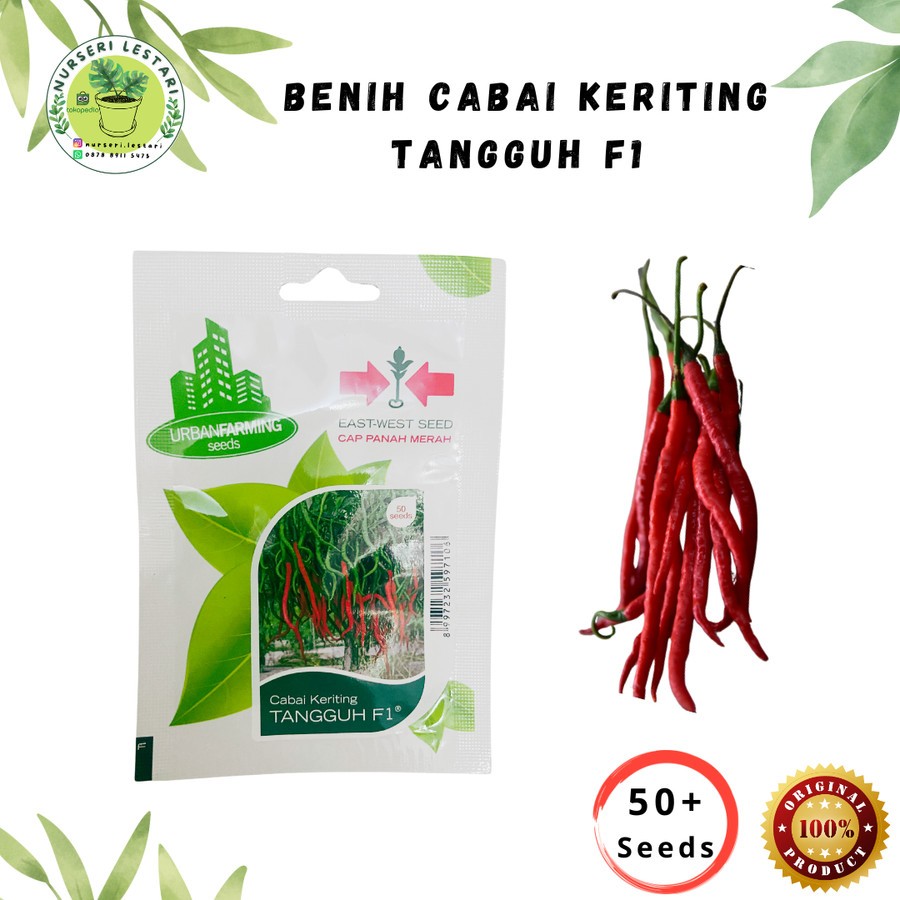 Benih Biji Bibit Cabe Cabai Keriting Tangguh F1 - Cap Panah Merah