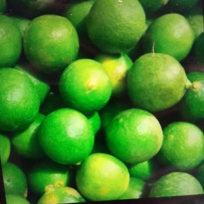 

ASAM JERUK NIPIS ASLI