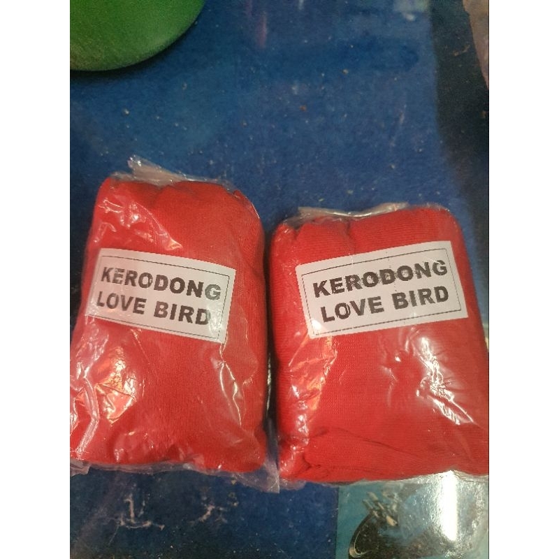 KRODONG LOVEBIRD