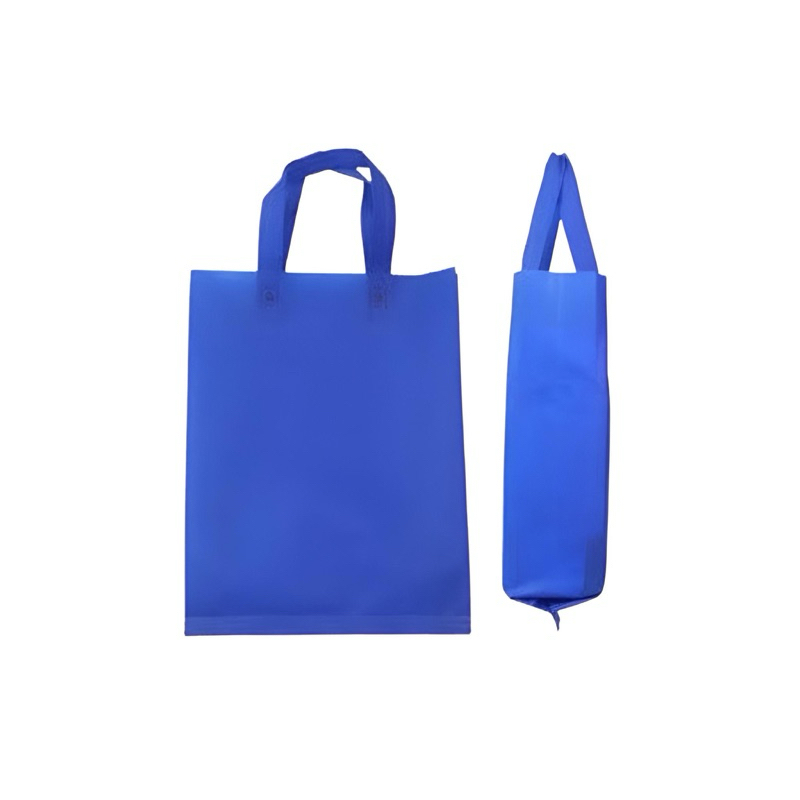 

Spunbond Goodie Bag Khusus pengiriman Instant