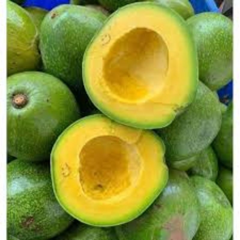 

Alpukat Mentega Samosir