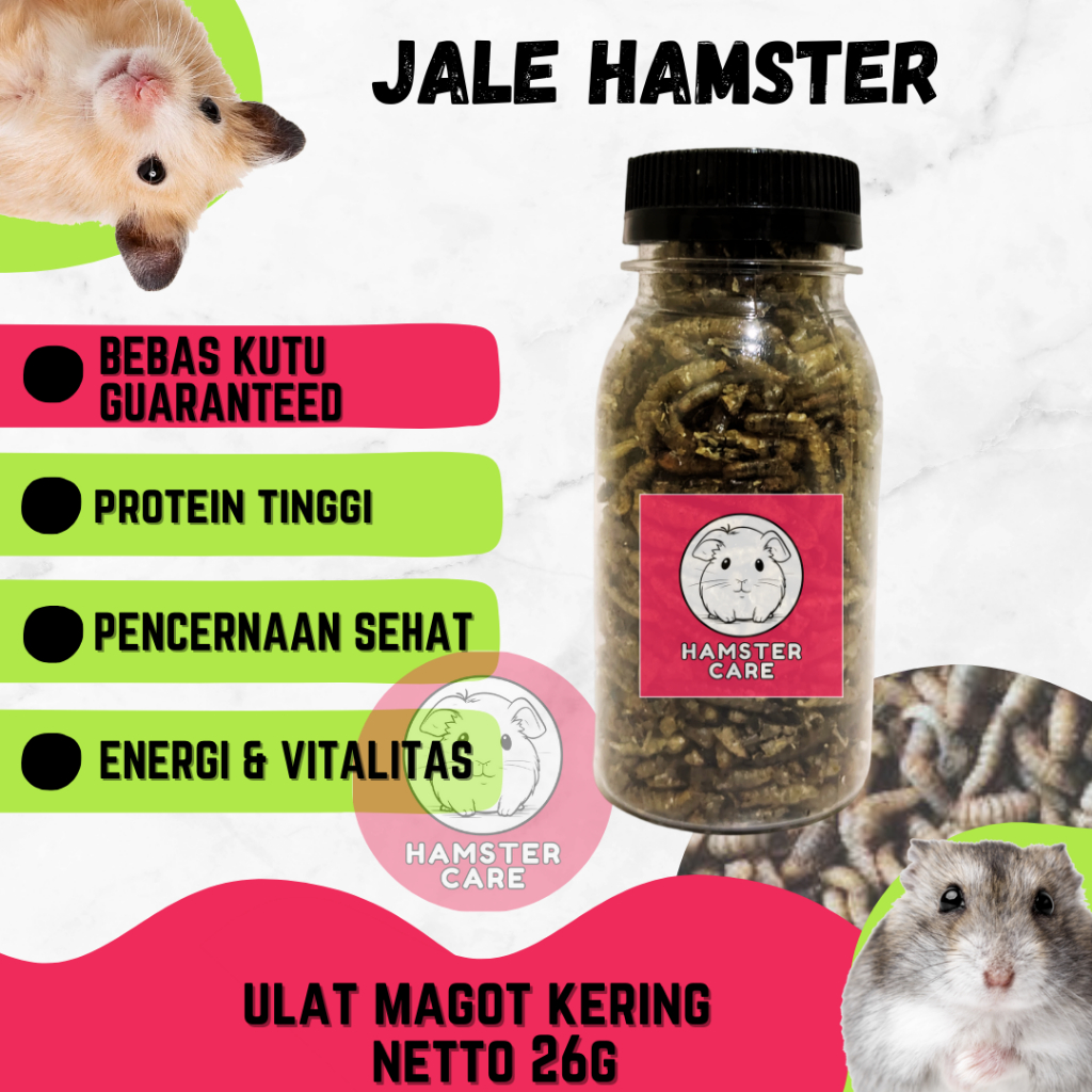 ulat maggot snack hamster dan sugar glider