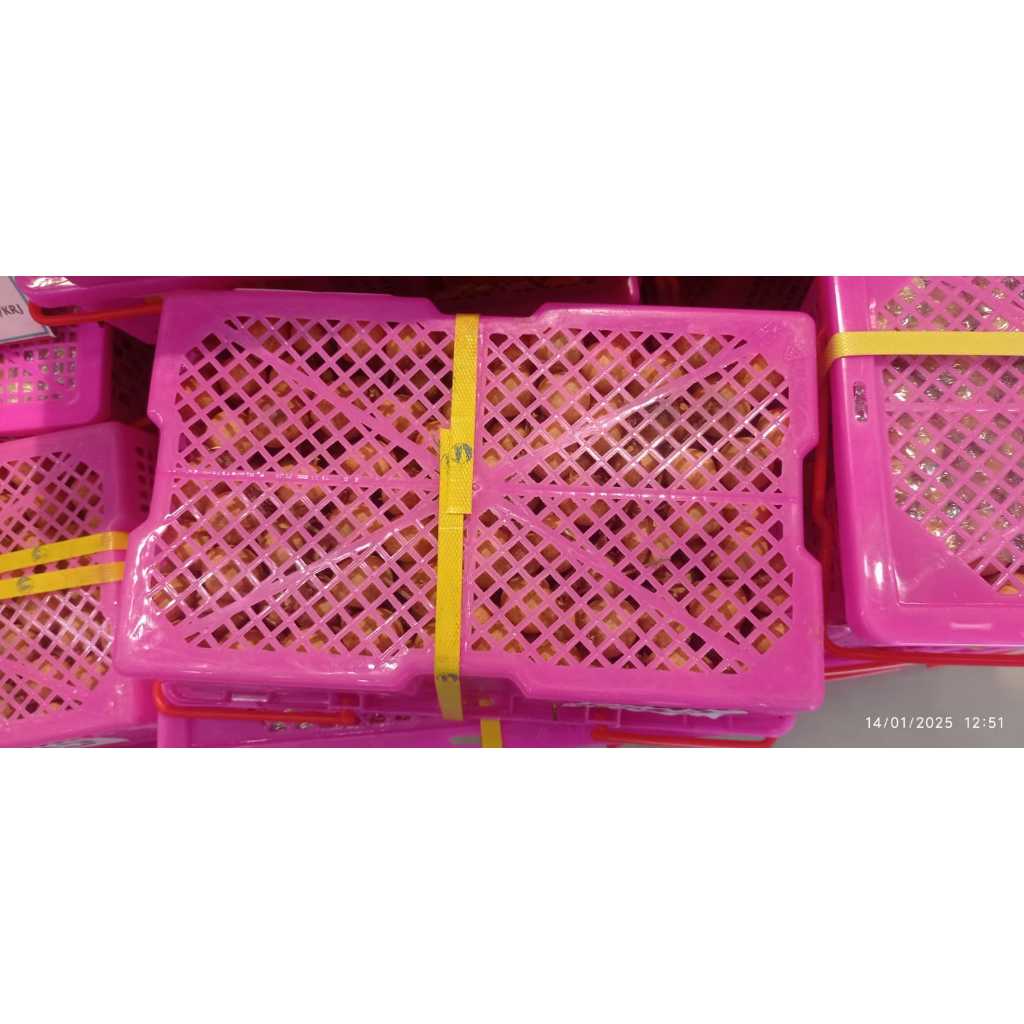 

LENGKENG BANGKOK JUMBO EMAS - PER KERANJANG ISI 3KG