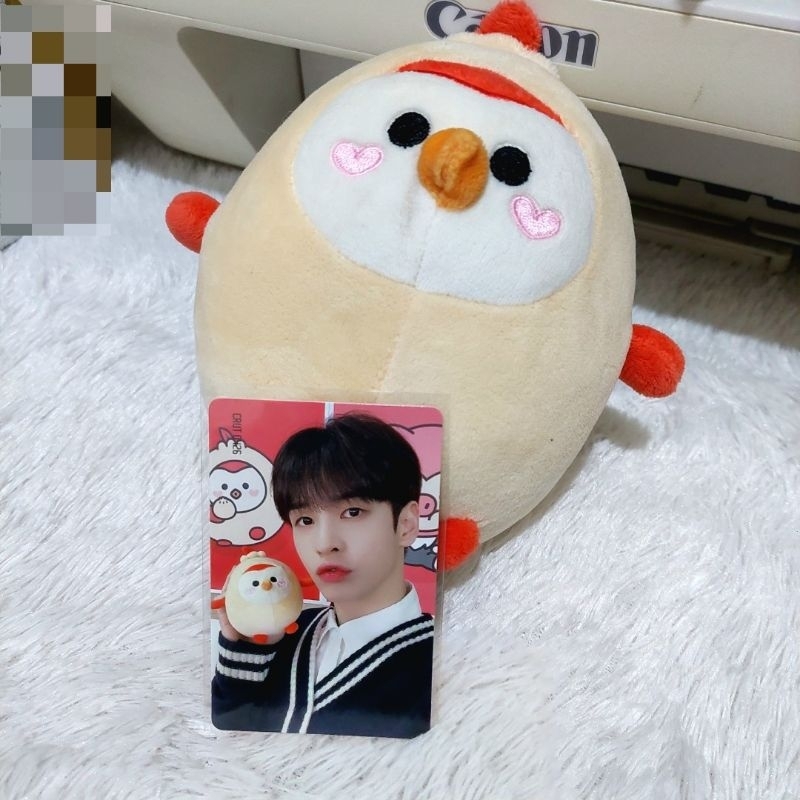 official cravity ccrew plushies boneka queeni allen boneka kpop