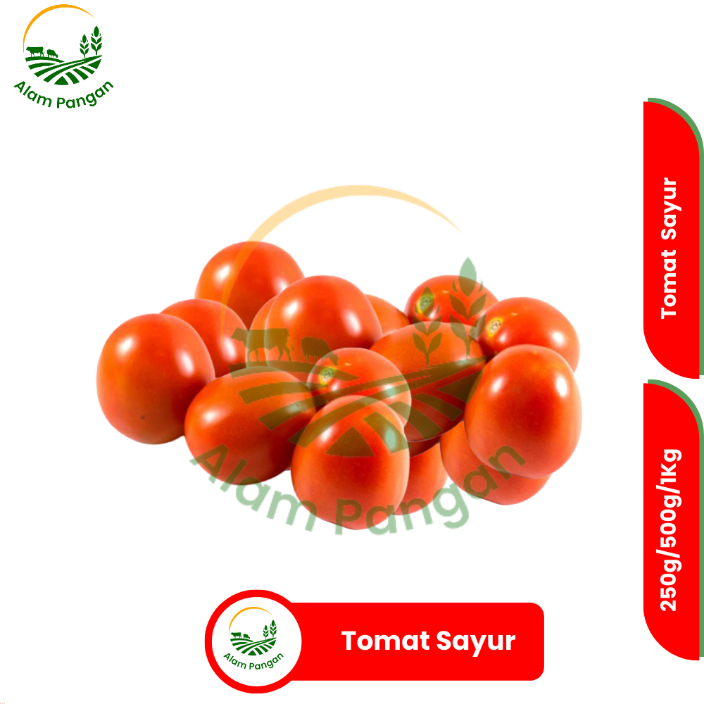 

Alam Pangan Tomat sayur 1kg