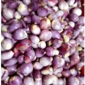 

bawang merah kupas /250grm.Rp.12.000