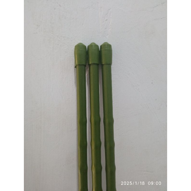 Ajir Tanaman Modern Take 8 x 900