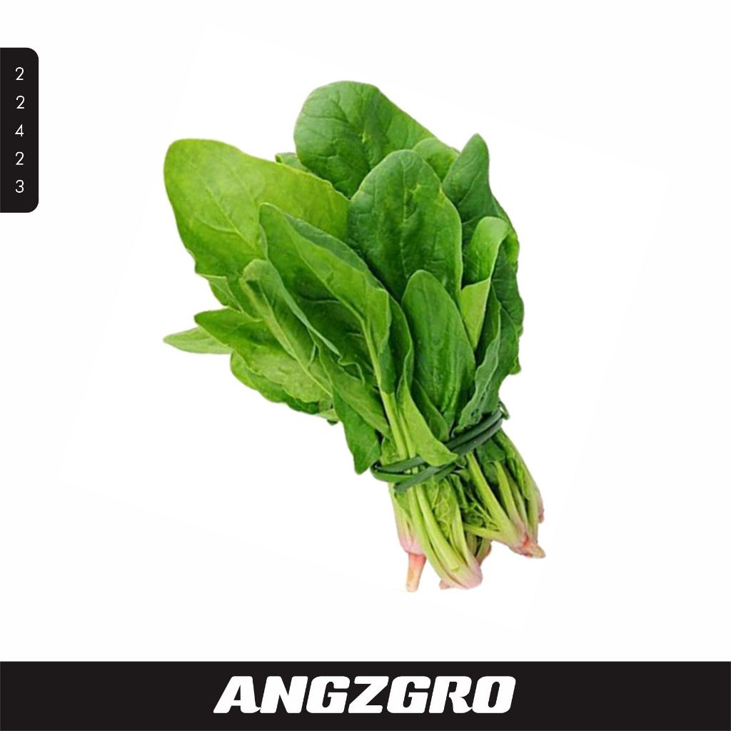

Sayur Bayam Horenzo 100 gr