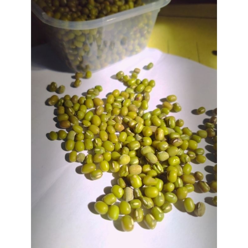 

KACANG HIJAU SUPER, HASIL PANEN SENDIRI. TANPA BAHAN KIMIA