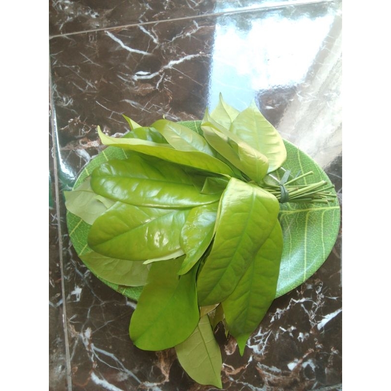 

Daun melinjo muda