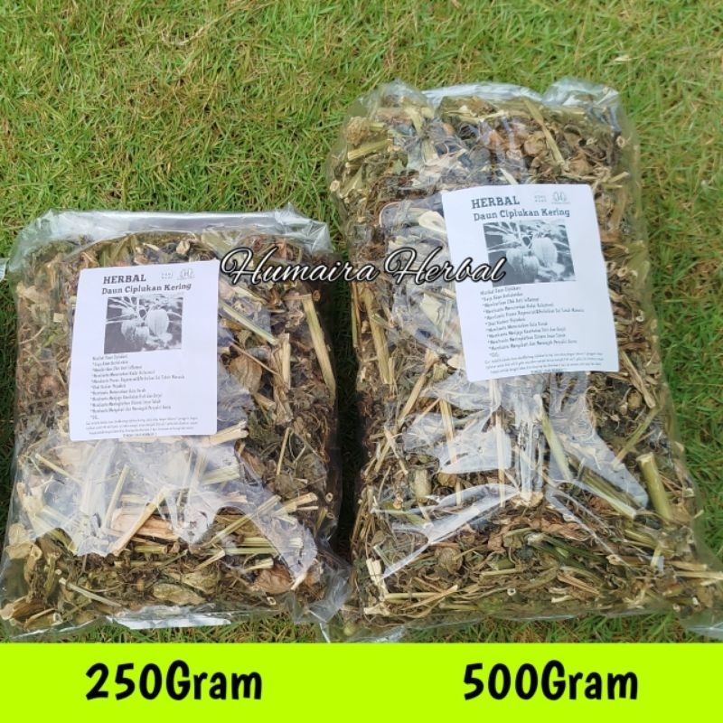 

500 Gram Daun&Batang Ciplukan Kering Untuk Obat Herbal Alami