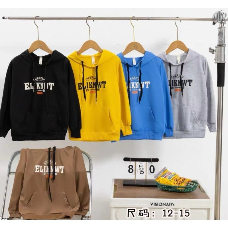 Sweater hoodie cowok premium import 1-5 tahun