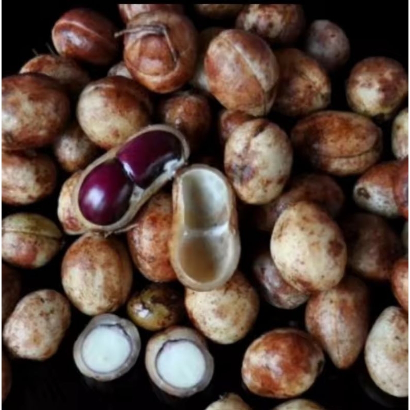 

kacang Bogor/kacang polong mentah 1 kg