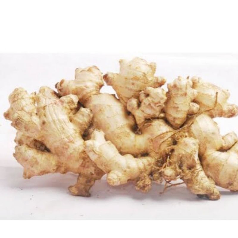 

JAHE EMPRIT SUPER SIZE 1kg CUCI BERSIH ( SIAP PAKAI )