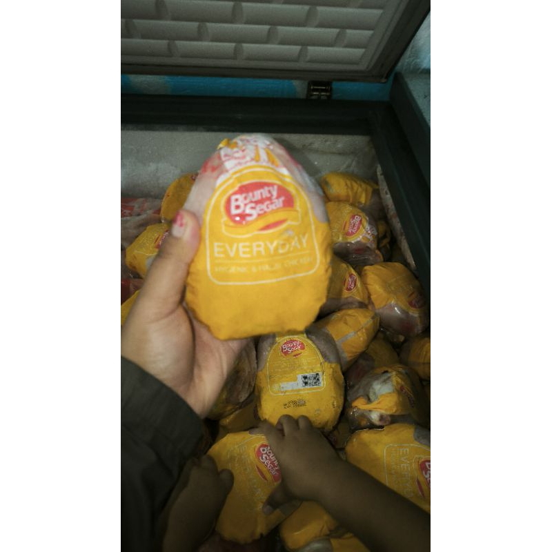 

AYAM KARKAS / AYAM UTUH / AYAM BEKU SIZE 05