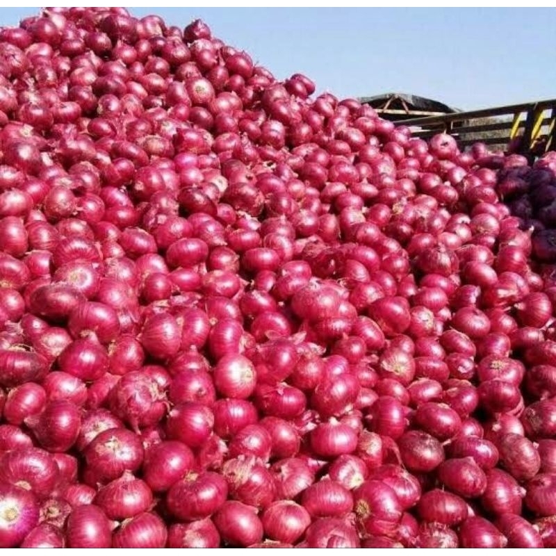 

bawang merah organik-bawang brebes-bawang merah super