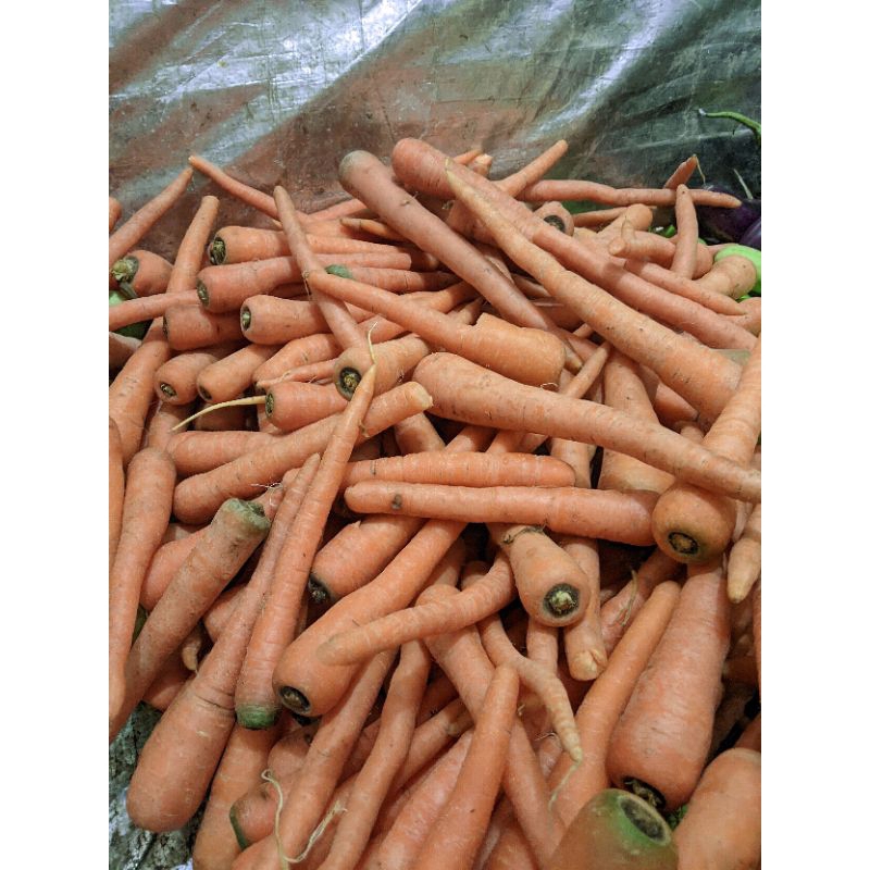 

Wortel Lokal super 500 gr