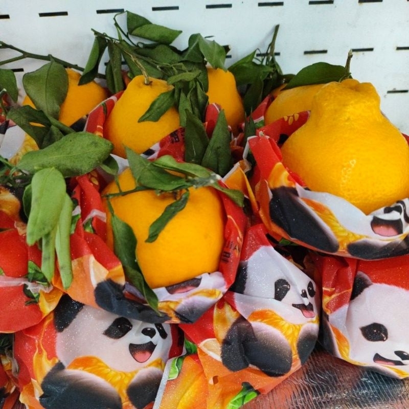 

JERUK PAPAGAN 1 KG