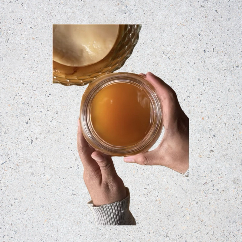 

Starter cair kombucha 750 ml.