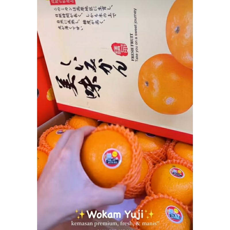 jeruk wokam yuji manis dus