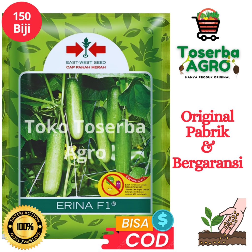 Benih Bibit Sayur Timun Lalap Baby ERINA F1 175 butir  CAP PANAH MERAH