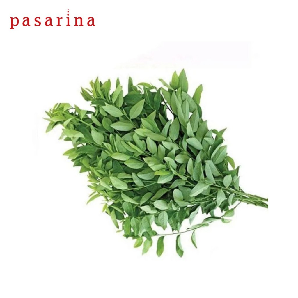 

Daun Katuk Segar Organic Sweet Leaves per ikat