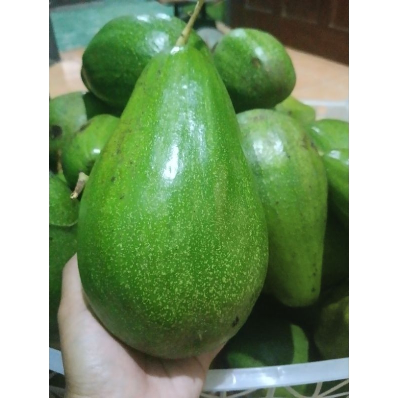 

Alpukat mentega jumbo isi 3/4