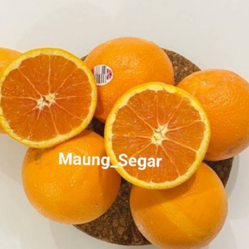 

BUAH JERUK NAVEL IMPORT 1 KILO, BUAH JERUK NAVEL SEGAR DAN MANIS