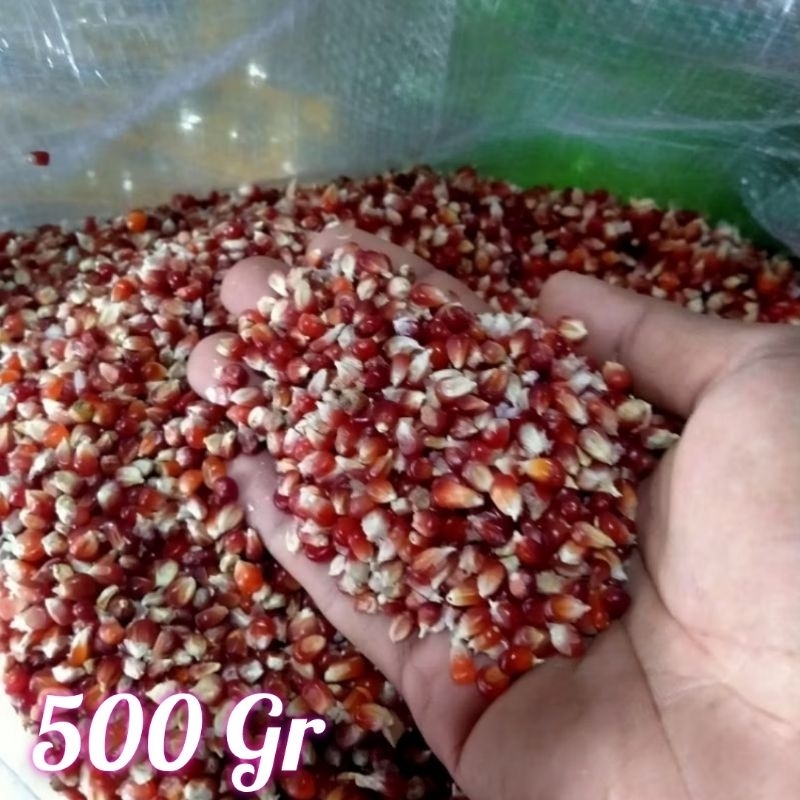 jagung kristal merah cililin 500 gr