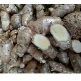 

kunyit temu segar /1kg