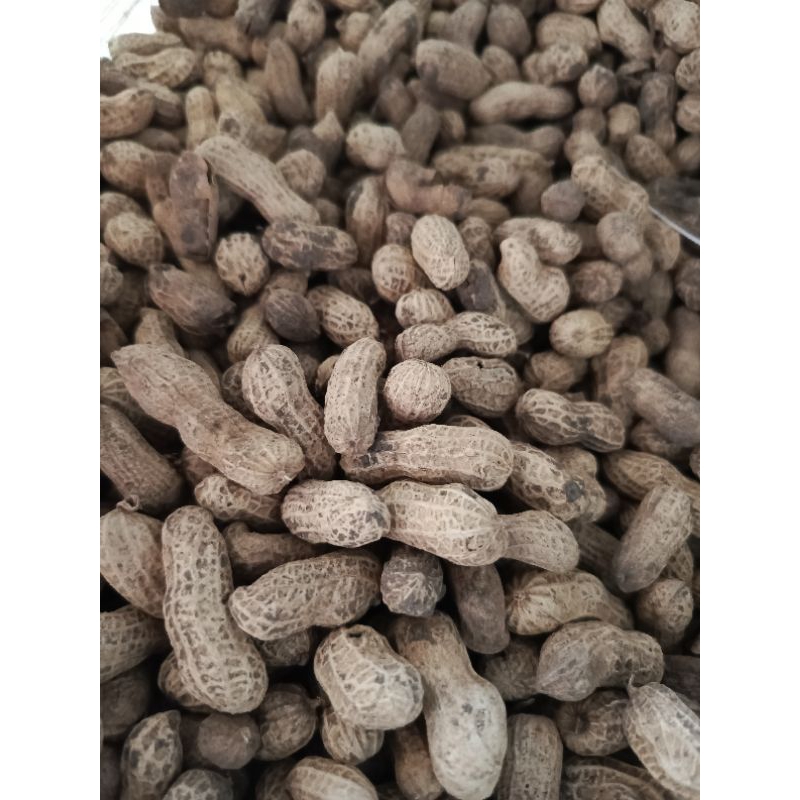 

Kacang Kulit Sangrai Lokal