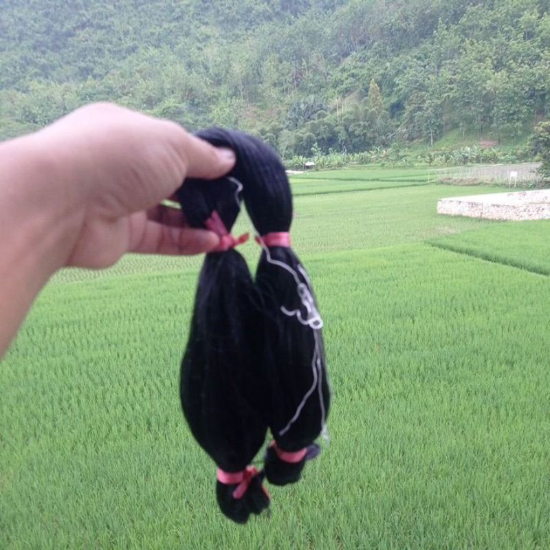 jaring burung perkutut jaring burung derkuku 30mx3m hitam pekat jaring burung hitam
