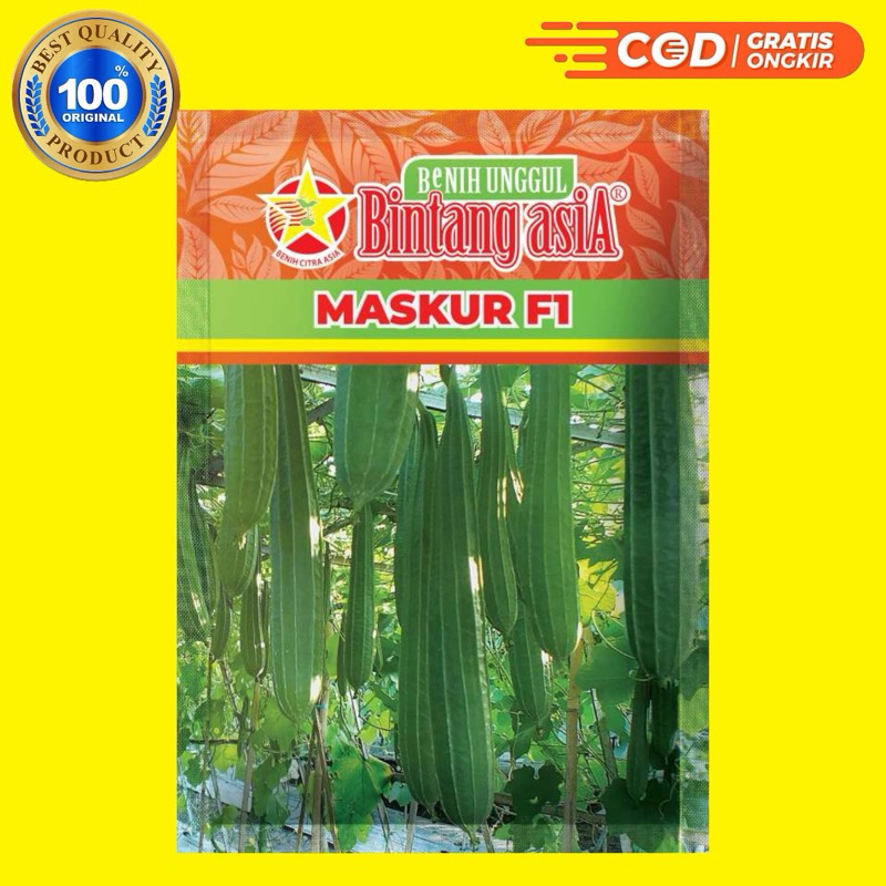 Benih Oyong Gambas MASKUR F1 - Bintang Asia