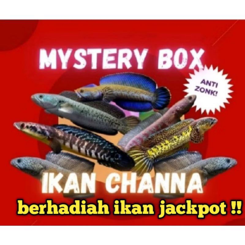 jekpot auranti dan sterwati anti jong