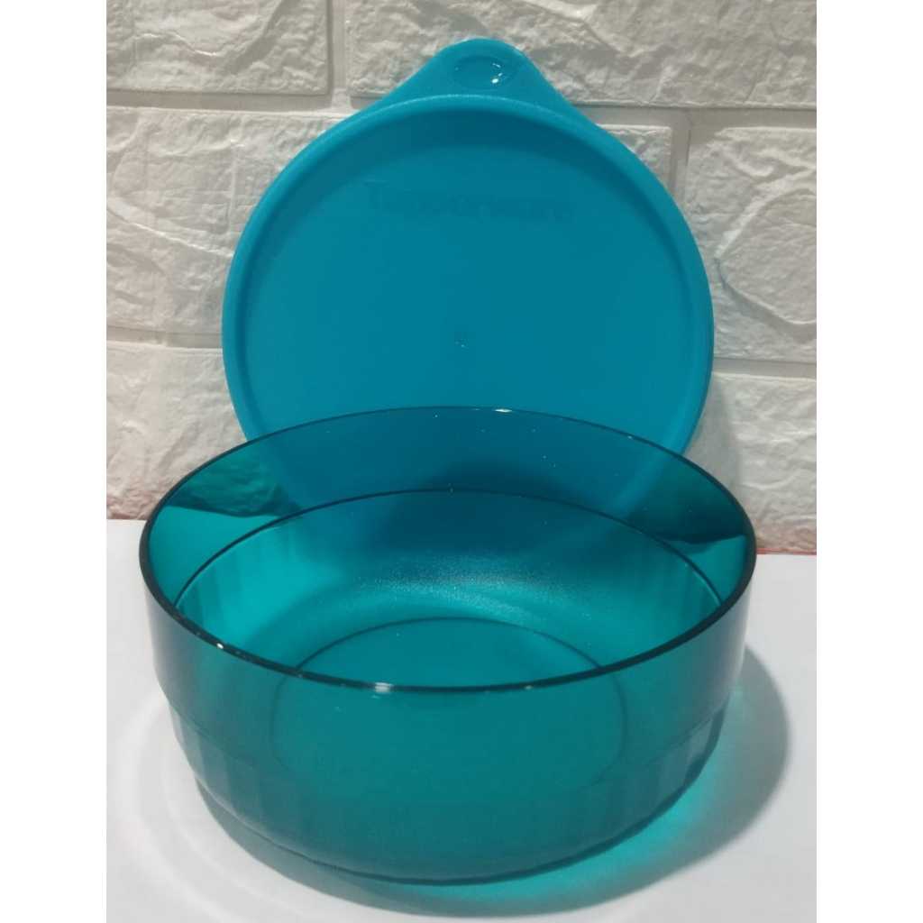 TUPPERWARE Watercolor Individual Bowl 600ml