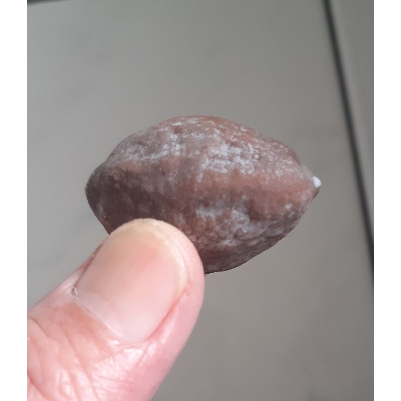 Muncang adu Anak 4G mentahan