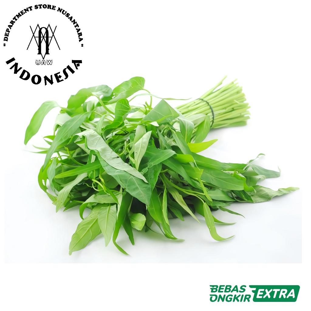 

KANGKUNG x RP ORIGINAL - Paket Sayuran Hijau Kangkung Segar Organik