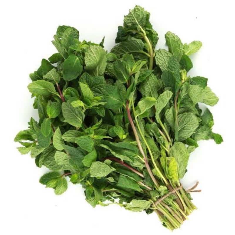 

daun mint